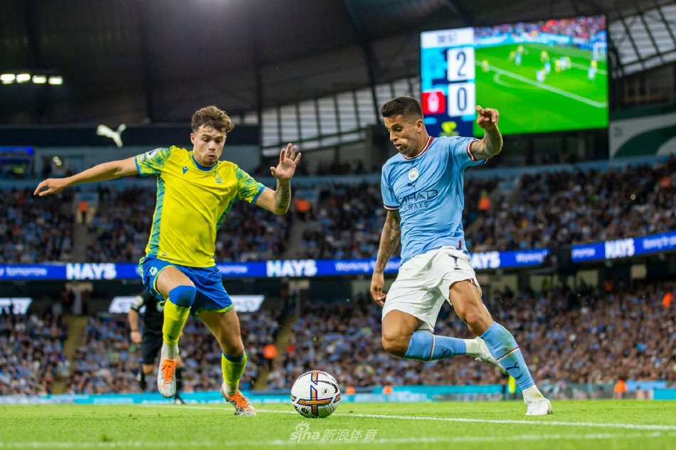 回购青训球 回购青训球