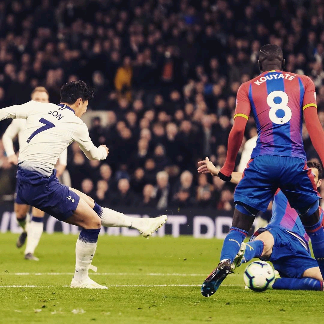 整个球队在 整个球队在