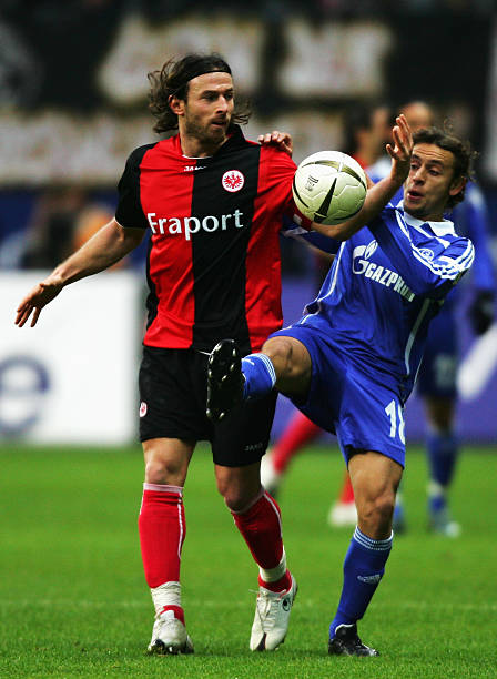 尼修斯能更 尼修斯能更